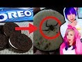 Shocking Things Found in Your Food!