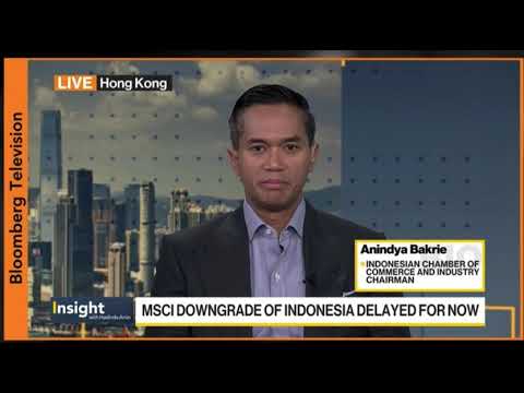 Ketua Umum Kadin Indonesia, Bp Anindya Bakrie Kembali Tampil di Layar Bloomberg TV,.