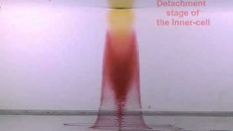 On the transition process of a swirling vortex generated in a rotating tank