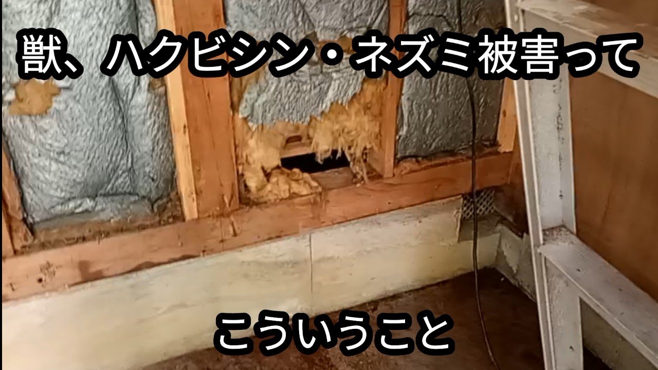 獣被害物件のリアル【ボロ物件移住家族47】