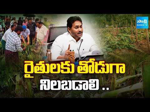 YS Jagan Key Instructions to Party Leaders, To Review on Montha Cyclone Damage Areas | @SakshiTV - SAKSHITV