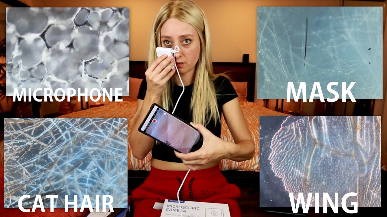 TINY PORTABLE MICROSCOPE & TELESCOPE WORK WITH MY PHONE! | TinyScopeCam & Dwarf Telescope