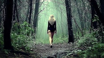 Wat deze camera in het bos heeft vastgelegd, schokt de hele wereld. Kijk maar!