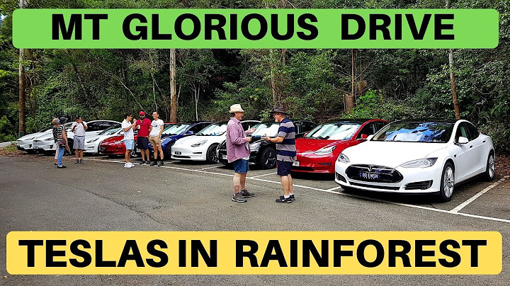 GLORIOUS TESLA GROUP DRIVE & RAINFOREST WALK