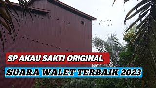 SP AKAU SAKTI ORIGINAL || SUARA WALET TERBAIK 2023