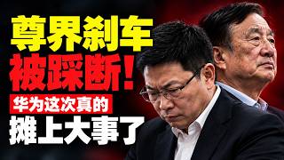 尊界刹车被踩断：华为究极翻车！中国电车大跃进的惨烈后果，正在加速显现