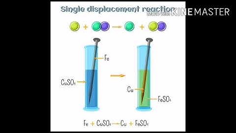 MLZS JHANSI CLASS 7 Science Chapter 6 Lecture 4