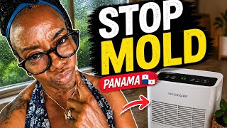 No AC in Boquete? 🇵🇦 The Moisture Problem No One Tells You……