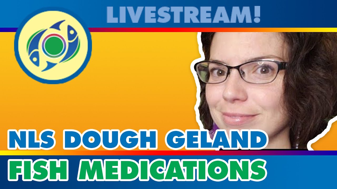 new life ai NLS Dough/Gel and Fish Medications