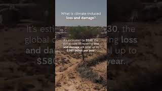 What is loss and damage?