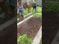 Sundiata Acoli/Shaka Sankofa Self Determination Garden Houston Tx 3Ward- National Black United Front