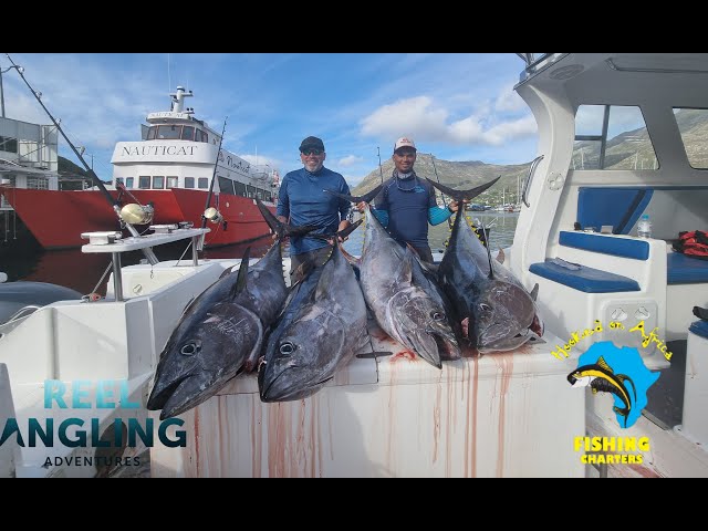 Deep sea fishing  Yellow Tail & Tuna Fishing 