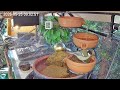 Ruhiger Morgen am Vogel-Spa (25.05.2026)