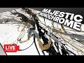 Sensational HUGE MONOCHROME painting created LIVE!