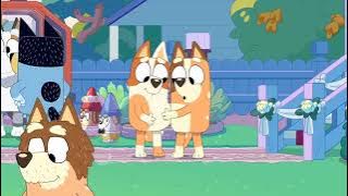 bluey - brandy embarazada