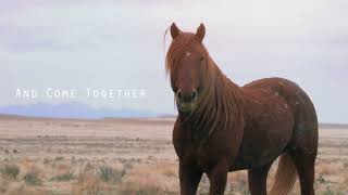 Trailer: Wild Lands Wild Horses 'Twin Peaks'