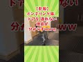 ネッコの動画見てクスッとなったら負けwww　#2ch動物スレ #動物 #猫 #shorts #2ch【2ch動物スレ】