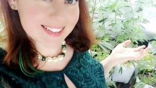 How To Cut Clones