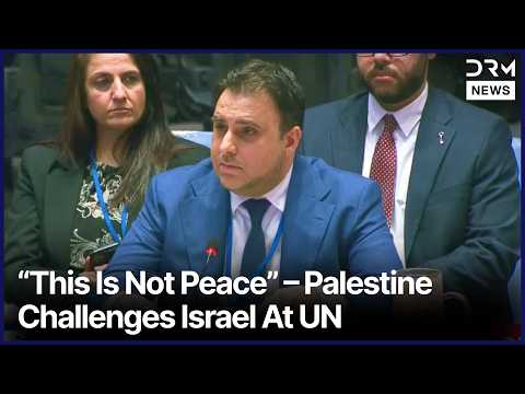 Palestinian Rep. Delivers Powerful UN Speech on Gaza Crisis and Israeli Occupation | AC1N