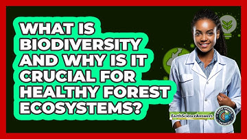 What Is Biodiversity And Why Is It Crucial For Healthy Forest Ecosystems? - Earth Science Answers