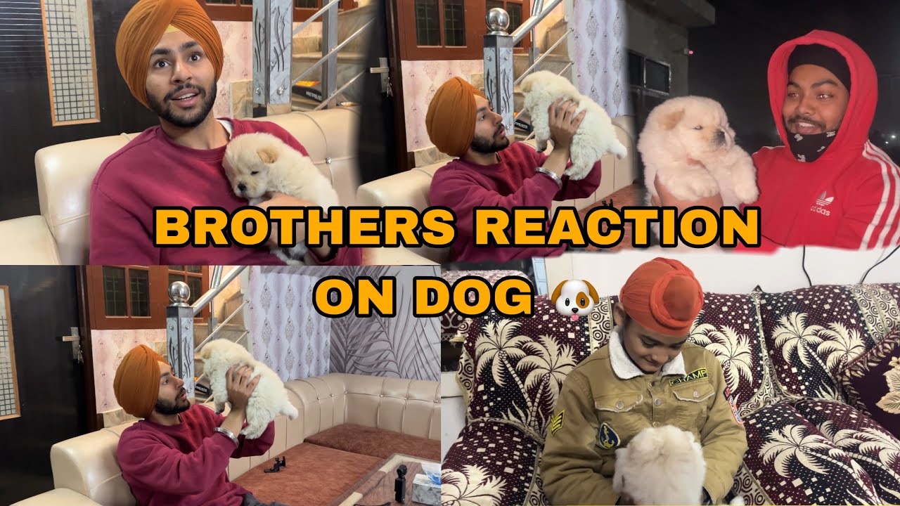 BROTHER REACTION ON NEW DOG 😱SARE NE KITA PYAAR DOG NU ❤️