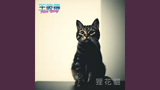 00940 申購之亂