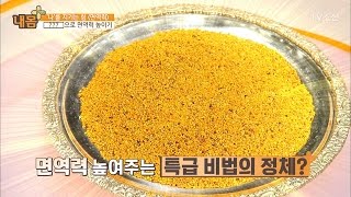 고대부터 현대까지! 면역력 높여주는 황금색은 [내 몸 플러스] 54회 20170416