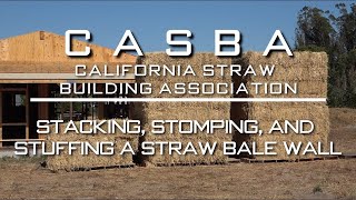 Stacking Stomping Stuffing | CASBA