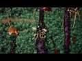 Daniel Kahn & The Painted Bird - "Children In The Woods" (official video)