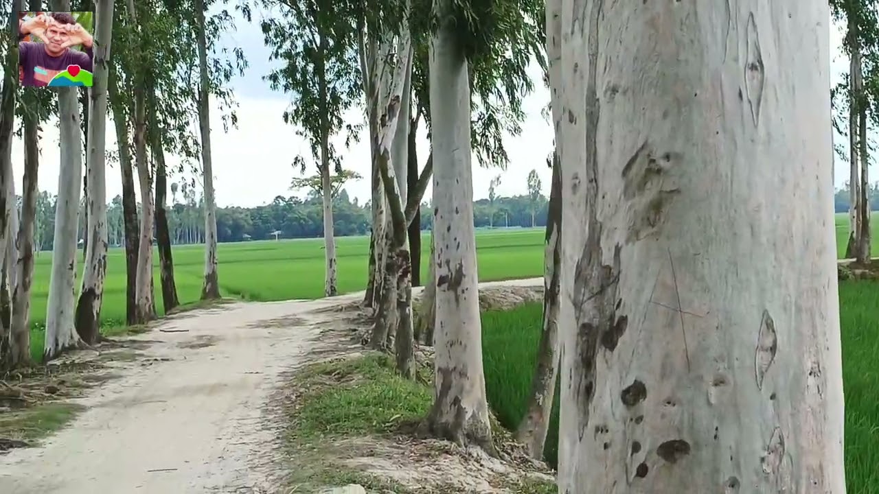 beauty of Bangladesh,,  Gaibandha Bangladesh