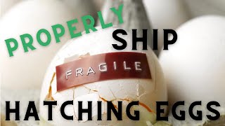 How to Ship Hatching Eggs