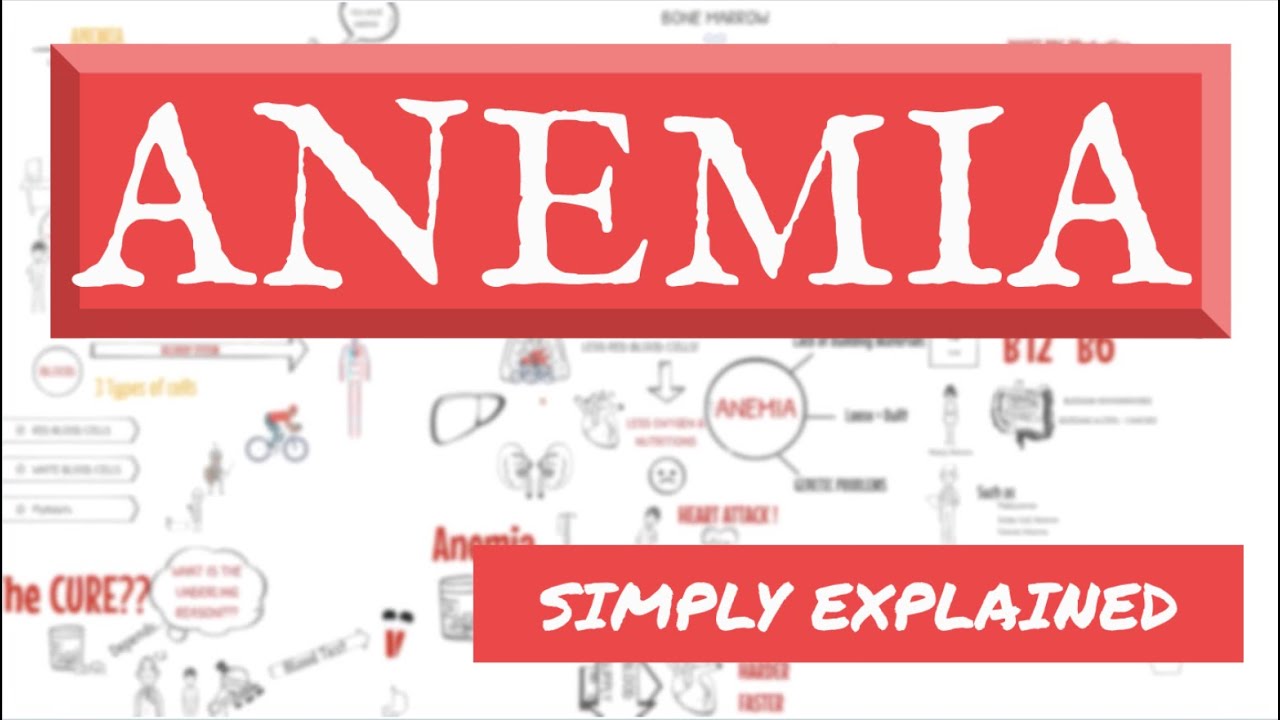 ANEMIA, simply explained!