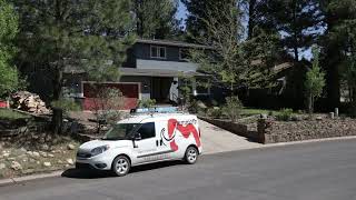 Experience Unmatched Pest Control with Mammoth Pest Control | Demo Video