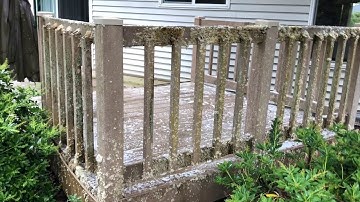 Soft Washing Tips To Clean Composite Trex Deck