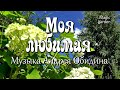 Моя любимая - музыка Андрея Обидина.  Музыка для души