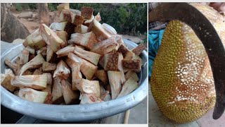 ಹಲಸಿನಕಾಯಿ gravy in kannada|Jackfruit gravy|wonder visuals youTube channel