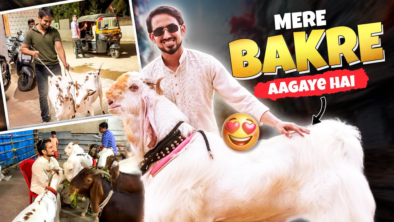 Mere Bakre Aagaye hai 🐐| Adnaan07