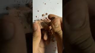 Day 1 of-doing random things with my sandalwood powder. Comment what I should do next.