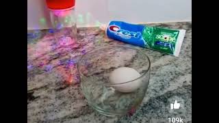 Egg Vs Tooth Paste It Is Realiy Osam