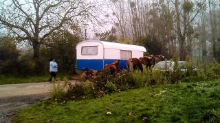 gitans en touraine