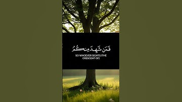 القران الكريم ياسر الدوسري صوت عذب وجميل #القرآن #المصحف #القرآن_الكريم #duet