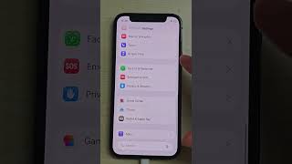 Forgot iPhone Parental Control Password?