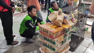 Full Bongkaran murai ,kenari dan burung masteran harga ugal-ugalan