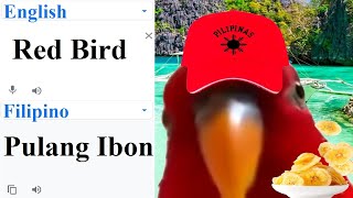 Red Bird in different languages ​​meme! screenshot 5
