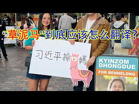 老翻译告诉你，“习近平草泥马”正确的英文翻译是什么。为什么中国人喜欢骂“草泥马”？