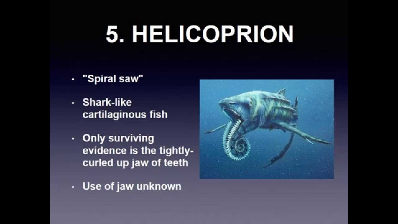 Top 10 Weirdest Prehistoric Animals YouTube