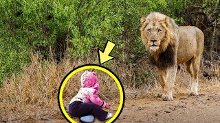 Этот лев подошел к плачущему брошенному ребенку, и тут произошло немыслимое