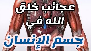 معجزات خلق الله في جسم الإنسان? İnsan vücudu ️