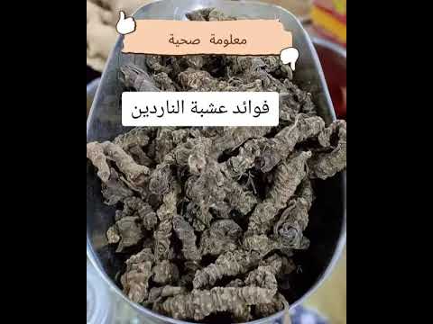 فوائد عشبة الناردين للصحة