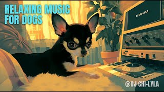 CALMING music mix for dogs with Separation Anxiety  #chill #calm #dog